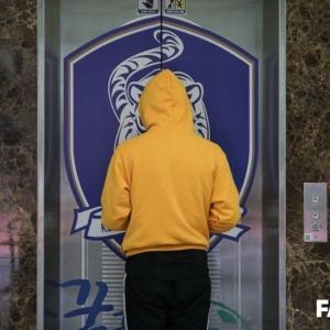 파주에 나타난 수상한 병아리